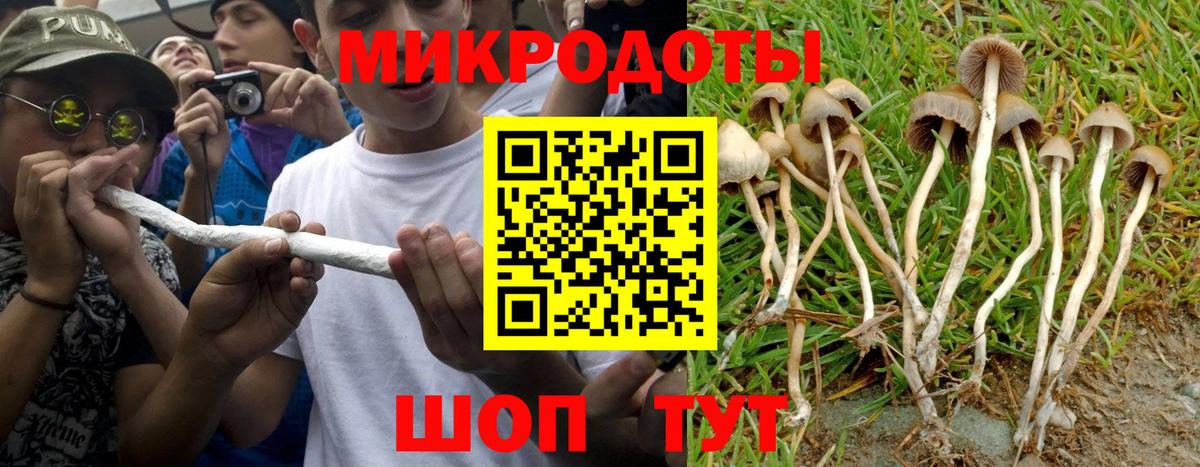 Галлюциногенные грибы мицелий  купить наркотик  Симферополь  Вход с VPN  Псилоцибиновые грибы прущие грибы 