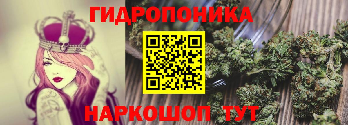 Бошки Шишки VHQ  Шишки марихуана семена  Симферополь  Каннабис план  Вход с VPN  Канабис VHQ 